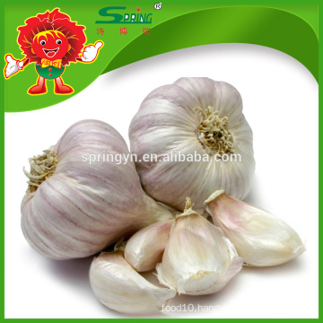 Chinese Top Grade White Pure Organic Fresh Garlic